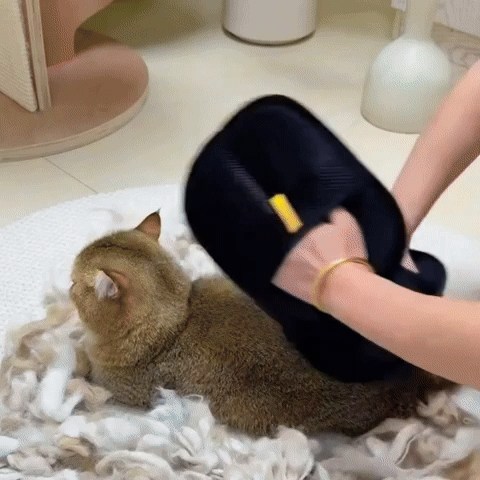 Fur-Free Pet Grooming Gloves
